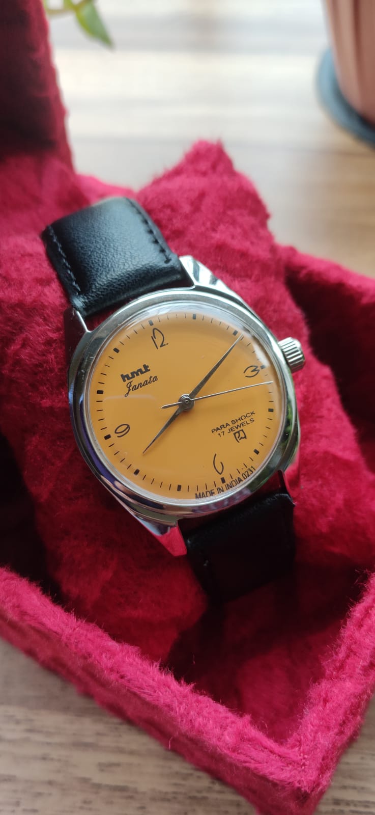 WhatsApp Image 2024-08-08 at 15.48.21